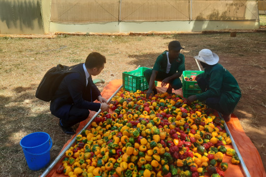 Agricultural Exhibition