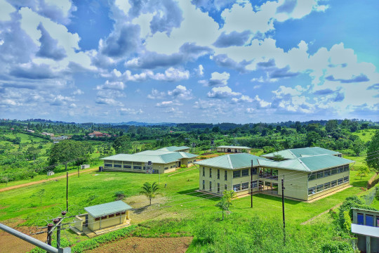 Institute bird's eye